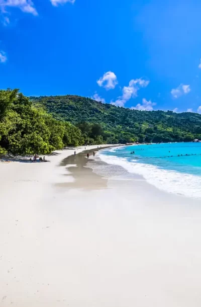 beach-surrounded-by-sea-greenery-sunlight-blue-sky-praslin-seychelles.webp