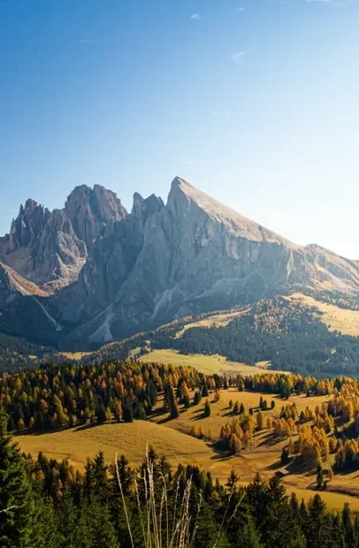 beautiful-shot-dolomite-with-mountains-trees-blue-sky-italy.webp